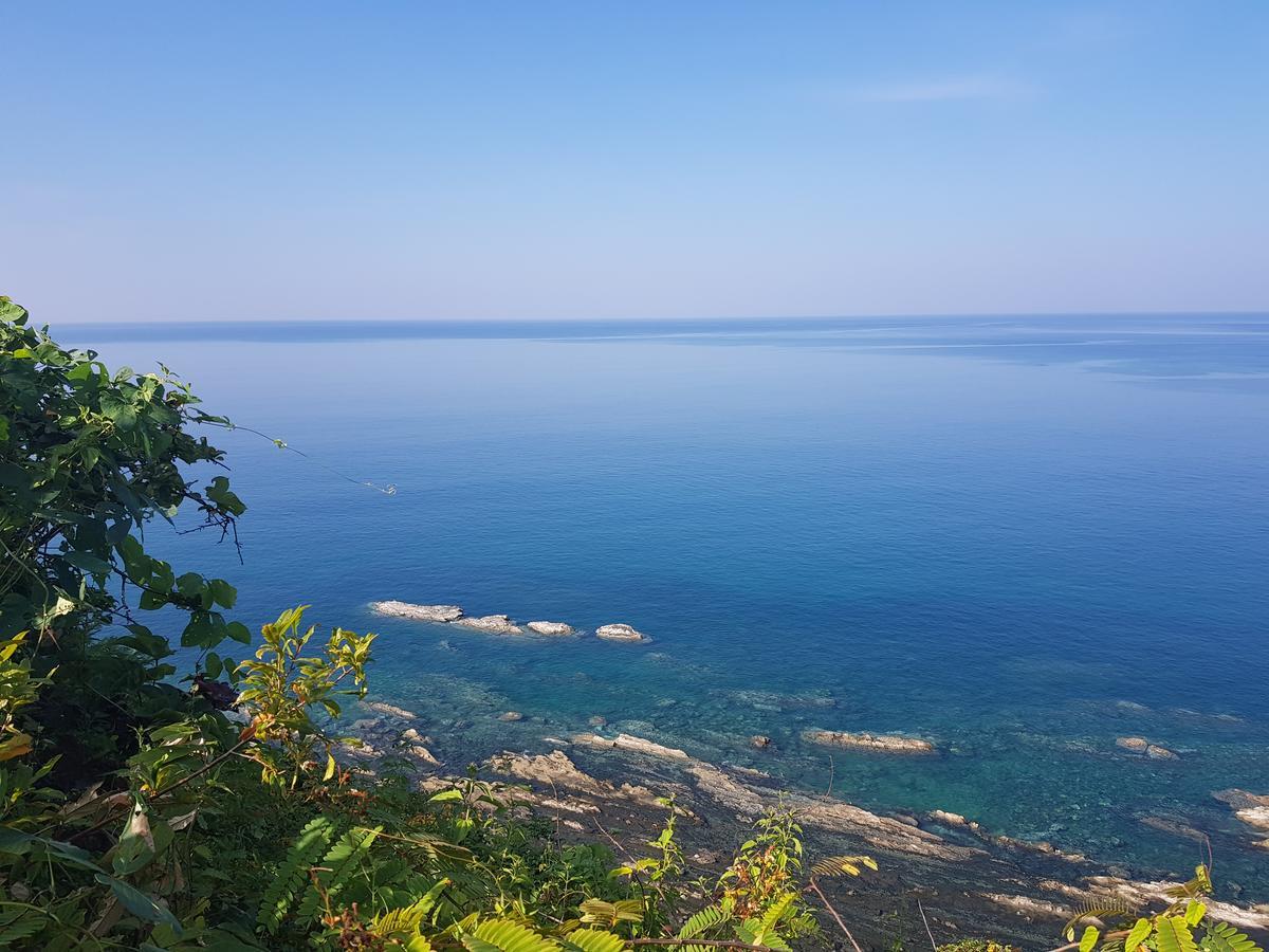 Coconut Island Resort Ngapali Εξωτερικό φωτογραφία